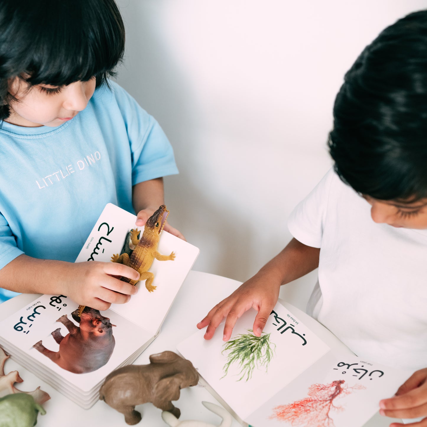 My First Words - Wild Animals (حَيَوَانَات البَرِّيَّة)