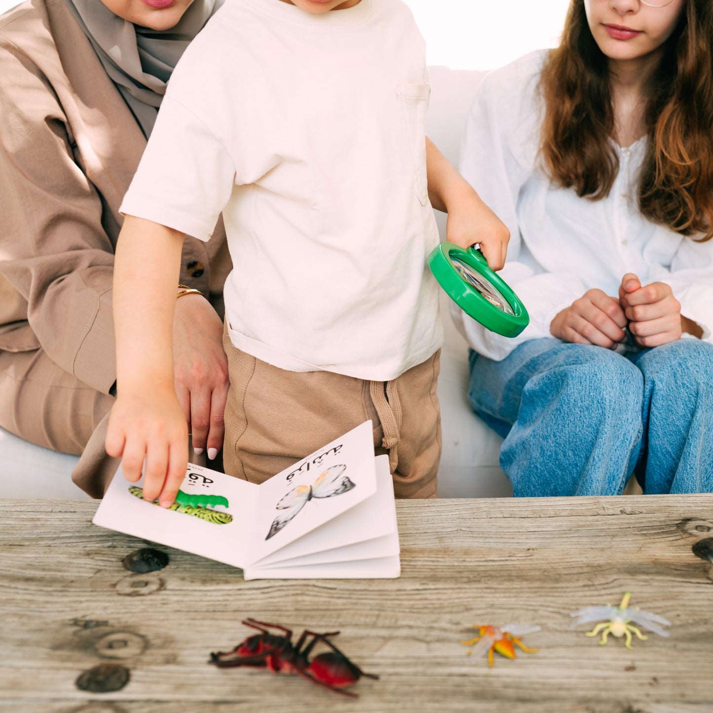 My First Words - Insects (الحَشَرَات)