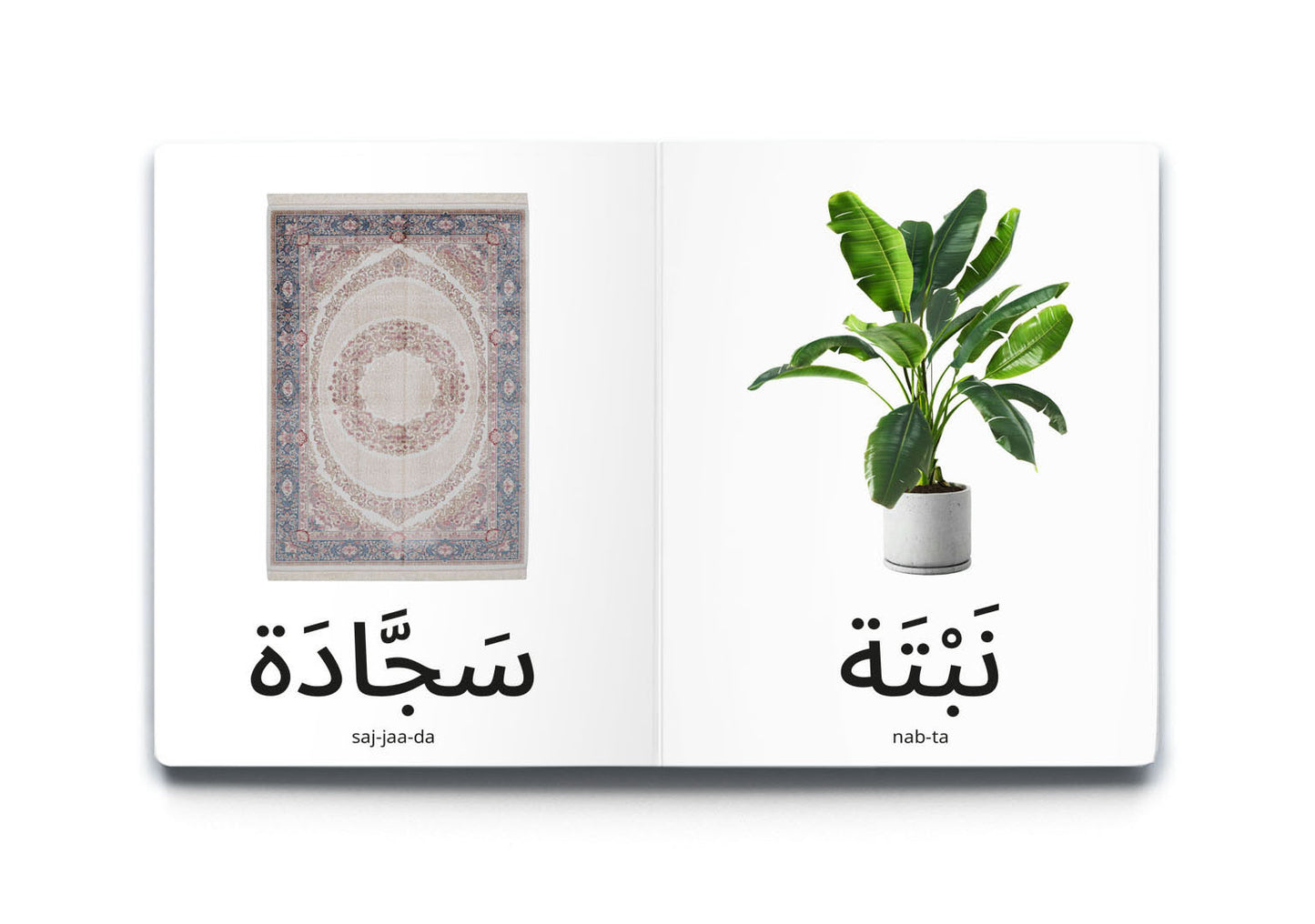 learning arabic for kids