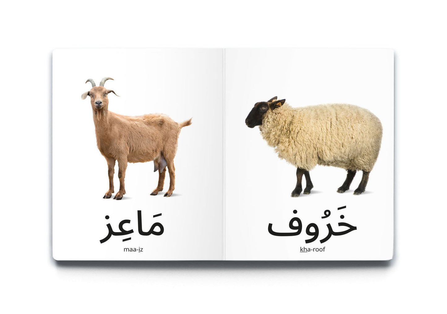 My First Words - Farm Animals (حَيَوَانَات المَزْرَعَة)