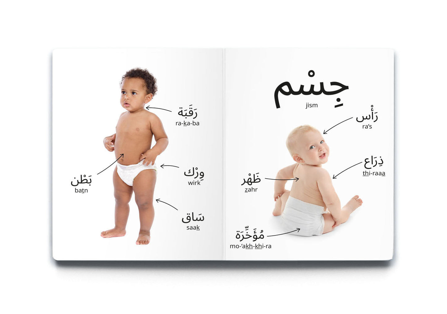 My First Words - My Body (جِسْمِي) with Mirror