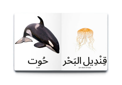 My First Words - Ocean Animals (حَيَوَانَات البَحْر)