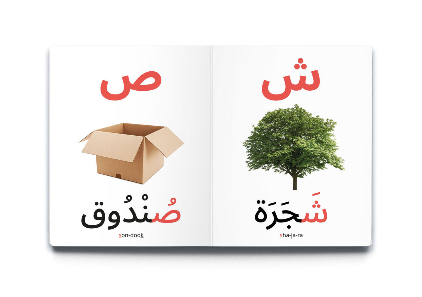 My First Words - Alphabet (الأبْجَدِيَّة)
