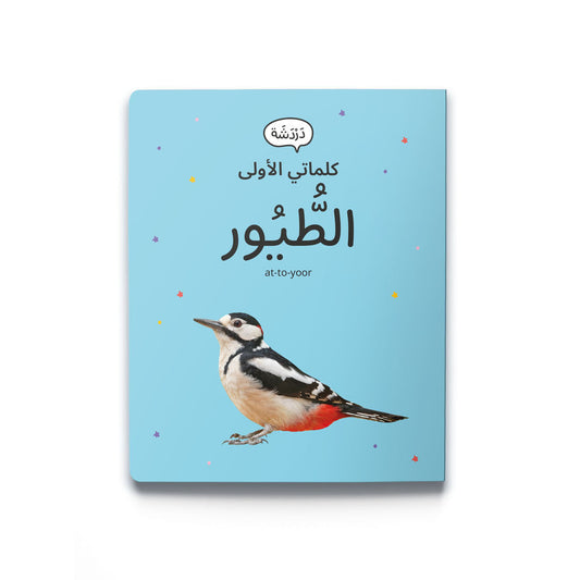 books to learn arabic
