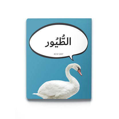 First Arabic Words - Set 4 (Five Books)