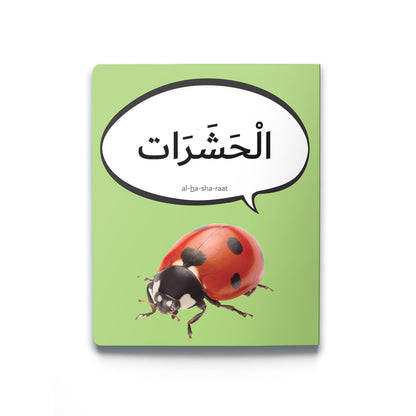 First Arabic Words - Set 4 (Five Books)